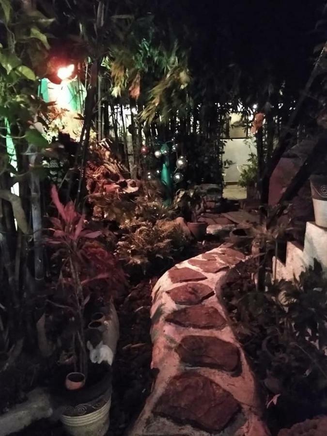 מלון מקסיקו סיטי Mi Aldea Holistica מראה חיצוני תמונה